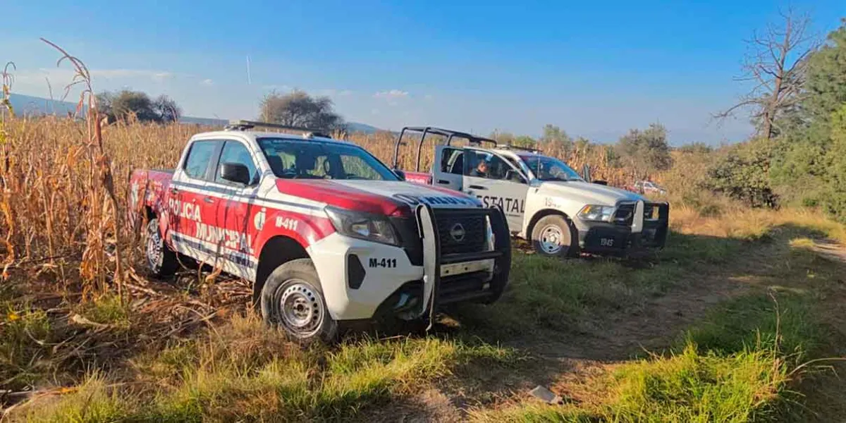 Reporte al 911 moviliza a autoridades tras posible hallazgo de cuerpos en Nopalucan