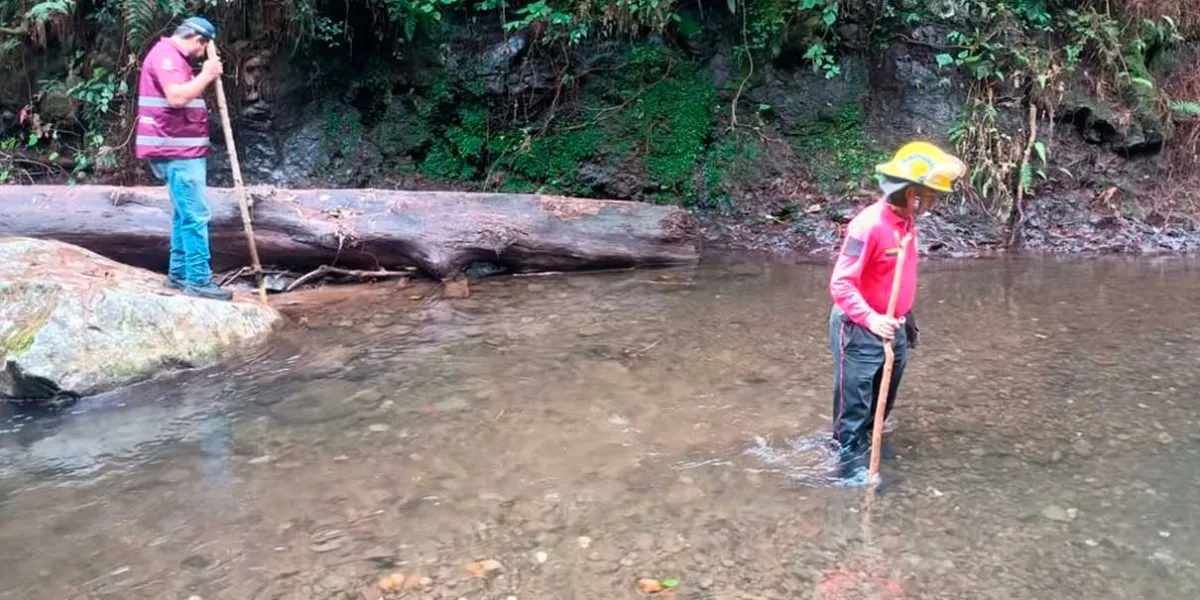 Brigadas mantienen la búsqueda del niño Tadeo en Huauchinango  