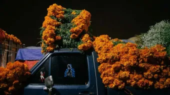 Atlixco inicia venta de cempasúchil en Santa Rita; tradición y economía se unen