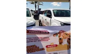 SADER implementa operativo sanitario en Texmelucan por venta de ganado