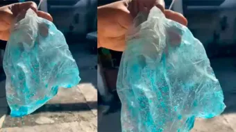 Sospechan de envenenamiento de perros en Texmelucan; vecinos hallan comida contaminada