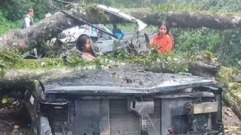 Árbol aplastó camioneta donde viajaba una familia; los padres murieron