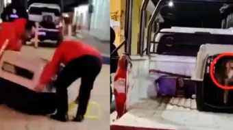 Denuncian maltrato animal en Chignahuapan