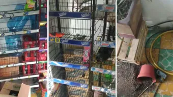 Delincuentes vacían local en Texmelucan; se llevaron hasta la comida