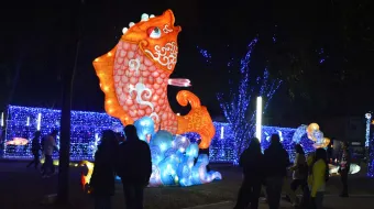 Villa Iluminada 2025: un fin de semana de luces, cultura y economía en Atlixco