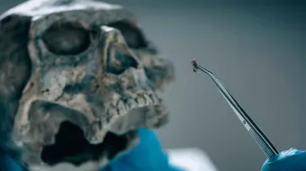 La ciencia forense, el arte de hablar por los muertos