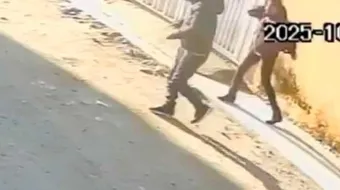 RATAS se apoderan de la colonia Carrillo Puerto, en Texmelucan; vecinos piden ayuda