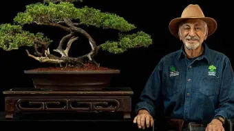 Fallece Emigdio Trujillo Sánchez, pionero del bonsái en Atlixco y referente nacional del arte japonés