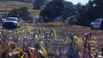 Terror en Cañada Morelos: localizan cuerpos desmembrados en un barranco de Llano Grande