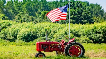 Trump anuncia apoyo millonario al campo: 12 mil millones de dólares para agricultores afectados por guerras comerciales