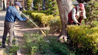 Zonas arboladas de la capital con mejor atención para evitar riesgos