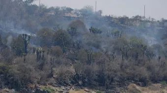 Puebla registra su mejor año en control de incendios forestales y se coloca bajo la media nacional