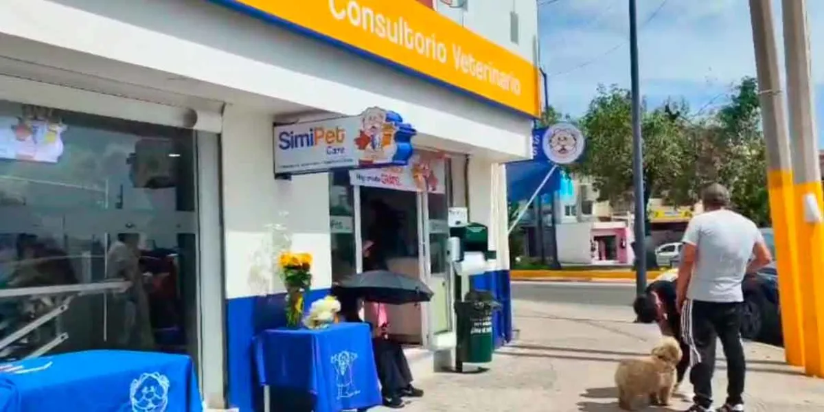 Abre en Puebla la primera Simi Pet Care veterinaria