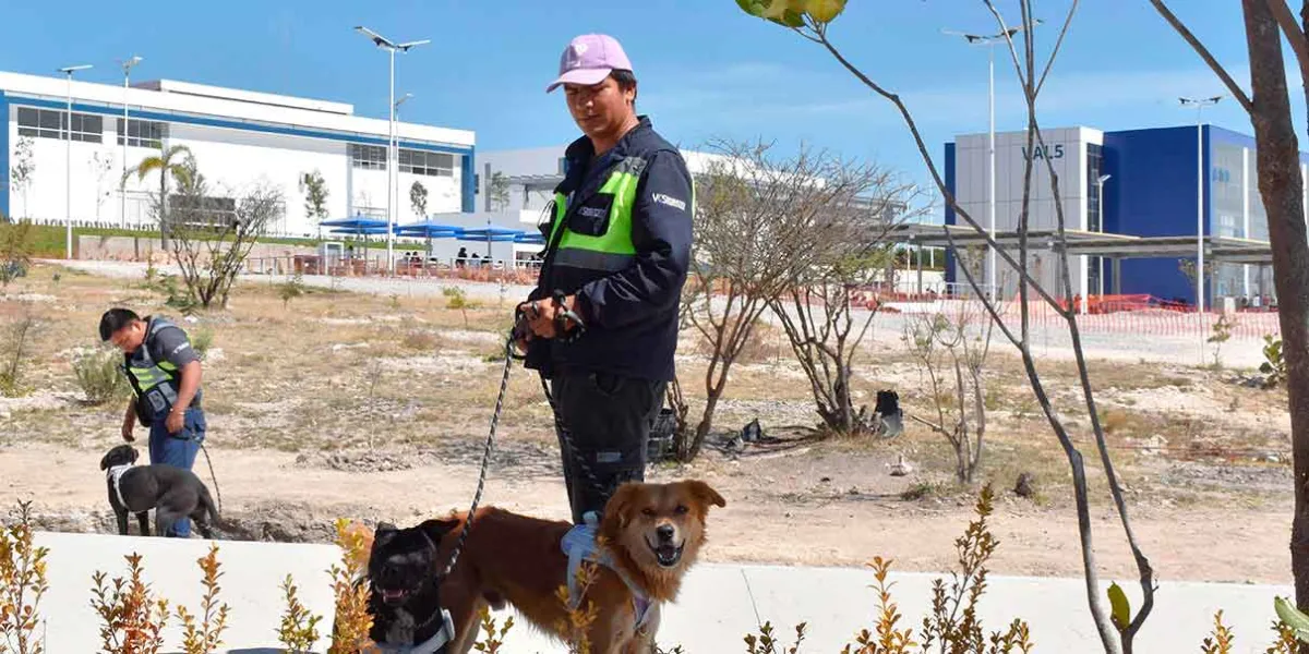 BUAP fortalece protocolos en CU2 para manejo de fauna y seguridad universitaria