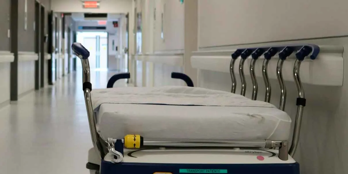 Confirman muerte por rabia humana en Jalisco; paciente falleció en hospital de Colima
