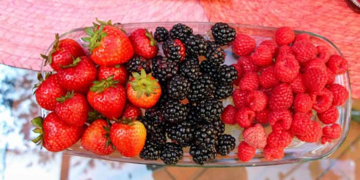 Inauguran sexta Feria de Los Berries en San Diego Buenavista, Puebla