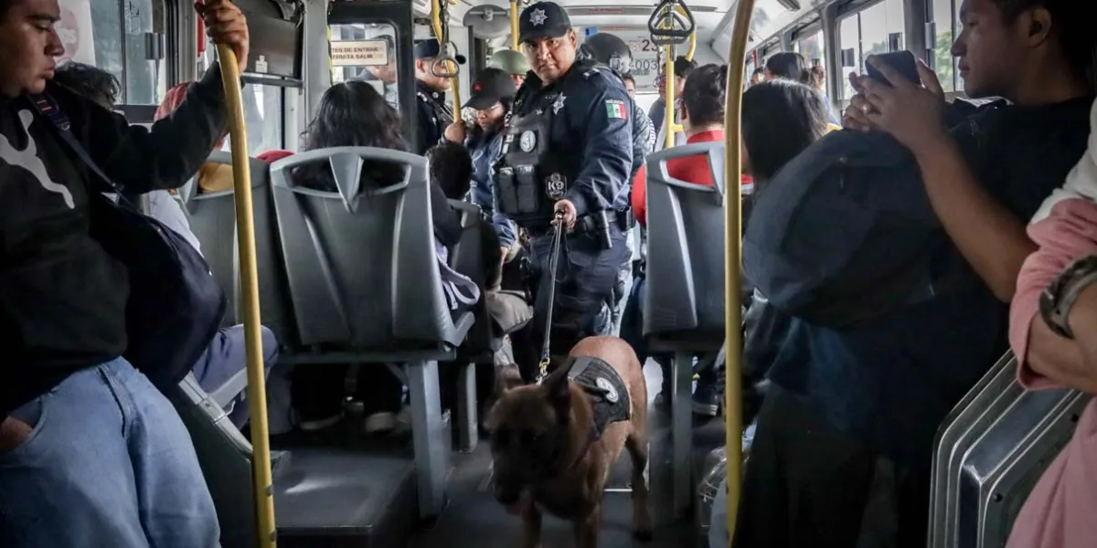 Seguridad en RUTA: Comando Canino K9 detecta armas y drogas en operativo Transporte Seguro