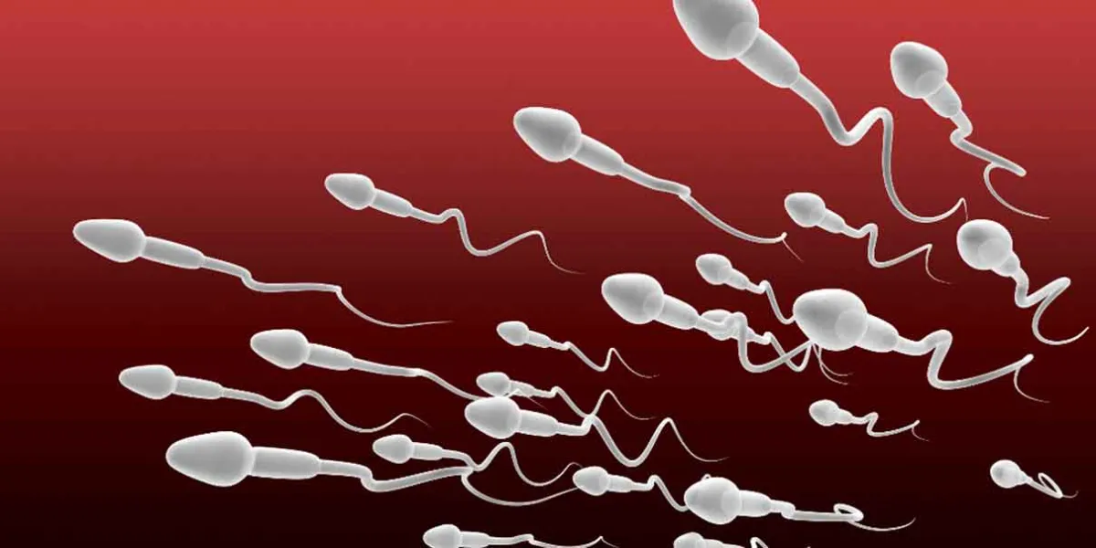 Fertilidad masculina en riesgo: factores que dañan y cómo revertirlos