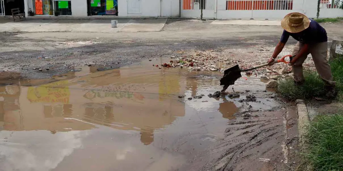Los "Tapabaches" se multiplican en colonias de la capital poblana