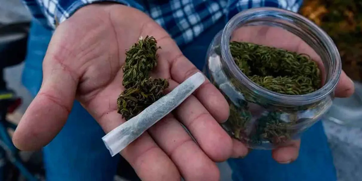 Alertan en Sinaloa por mariguana contaminada con fentanilo: CEPTCA advierte riesgos graves