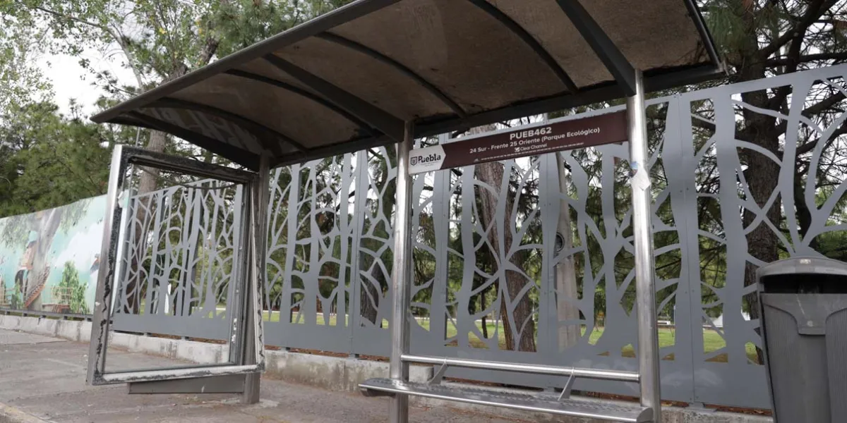 Municipio deben justificar solicitud de una década a concesión de paraderos
