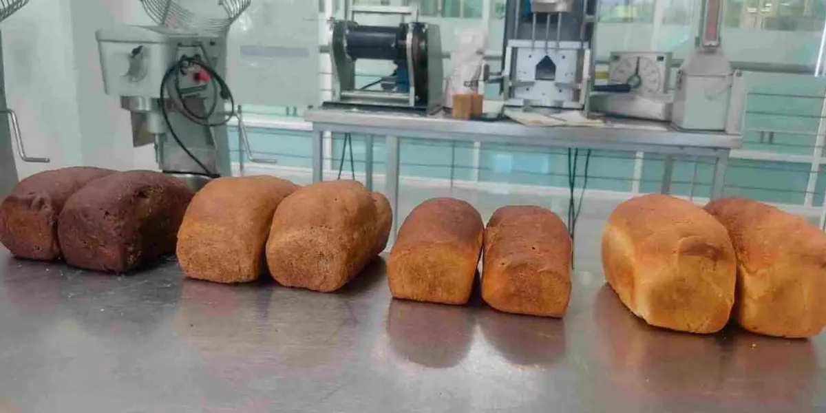  El Tec de Monterrey desarrolló alimentos a base de harina de insectos
