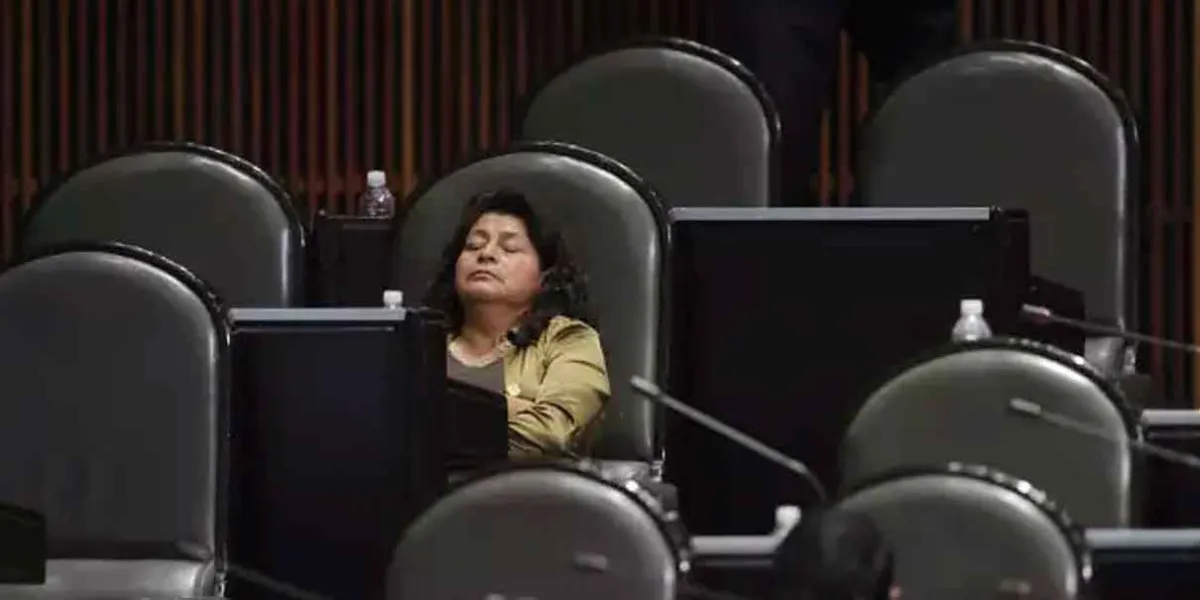 Diputados federales se aumentan 9.6% su dieta para 2026. Aumento tras más de una década sin ajustes