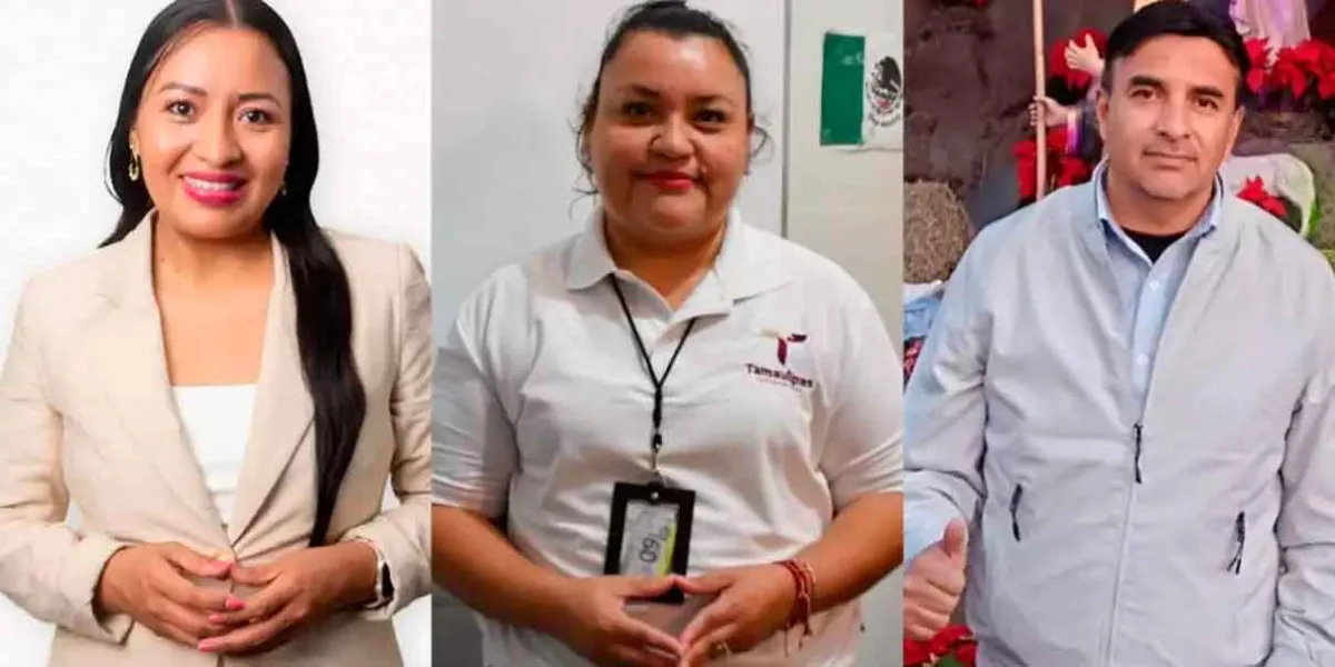 Renuncias de jueces recién electos en Tamaulipas, Durango y Veracruz desatan polémica sobre la reforma judicial