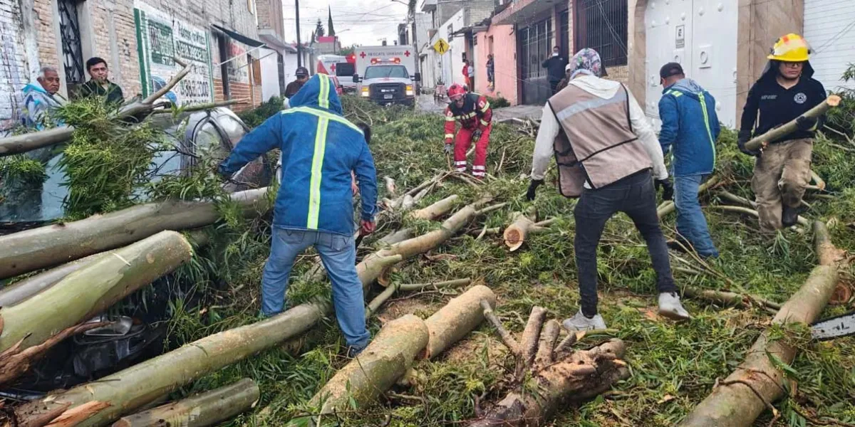 Tormenta causó pérdidas a locatarios del mercado de Tehuacán
