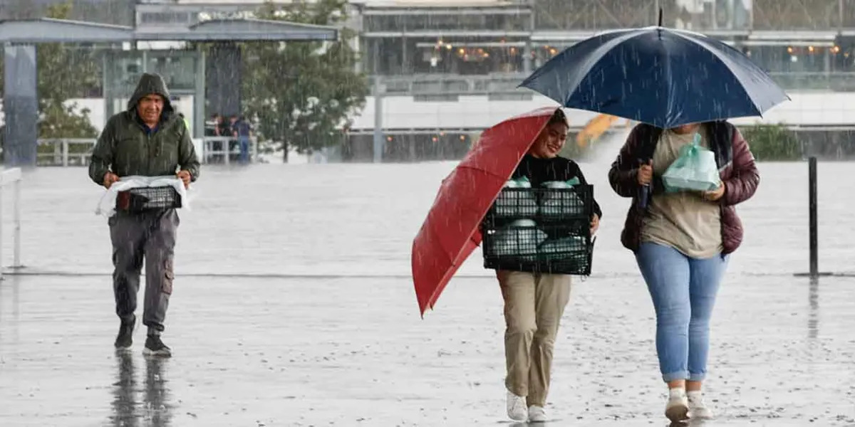 DOMINGO. Otro día de lluvia con tormenta eléctrica en la ciudad