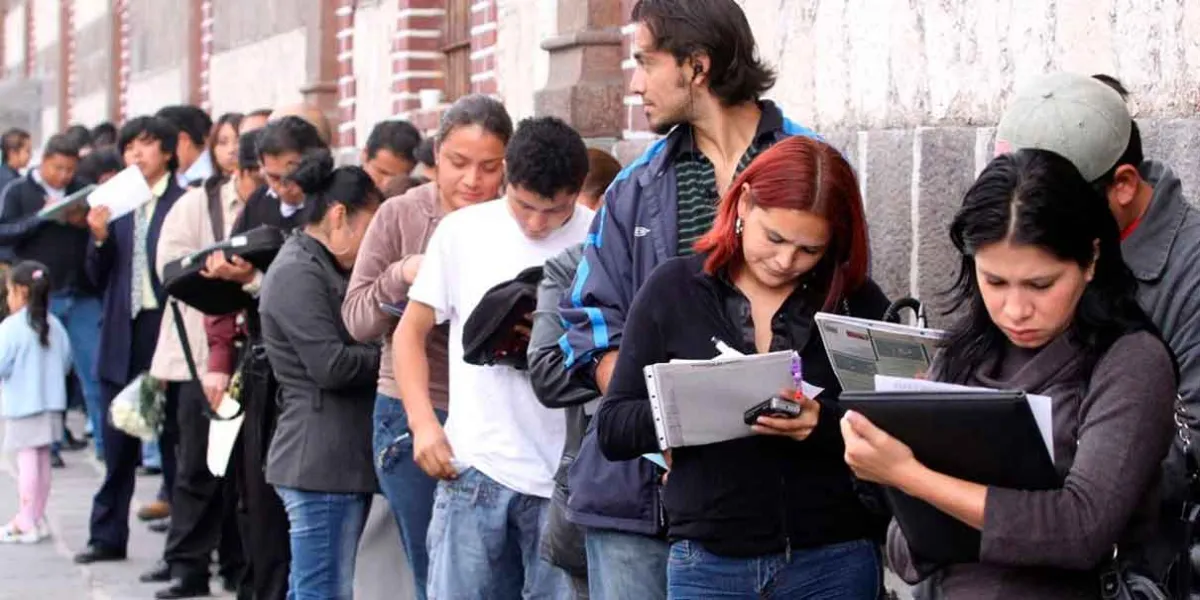 Se recuperará el empleo perdido en el último trimestre del año 