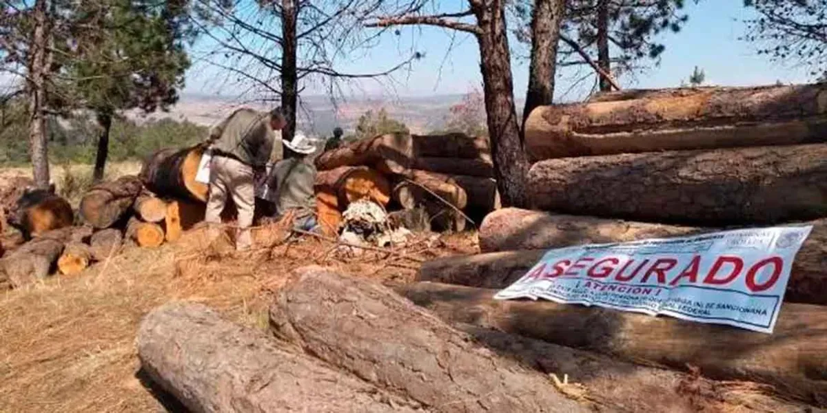 Detectan en Zacatlán un nuevo horno clandestino para deshidratación de madera