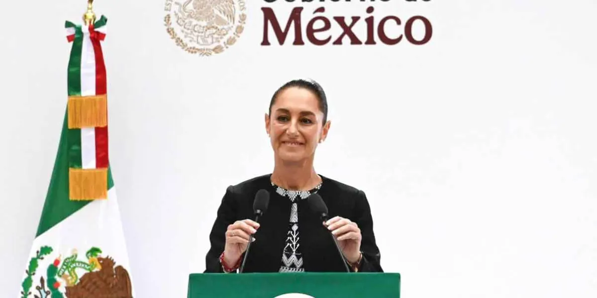 Informe optimista