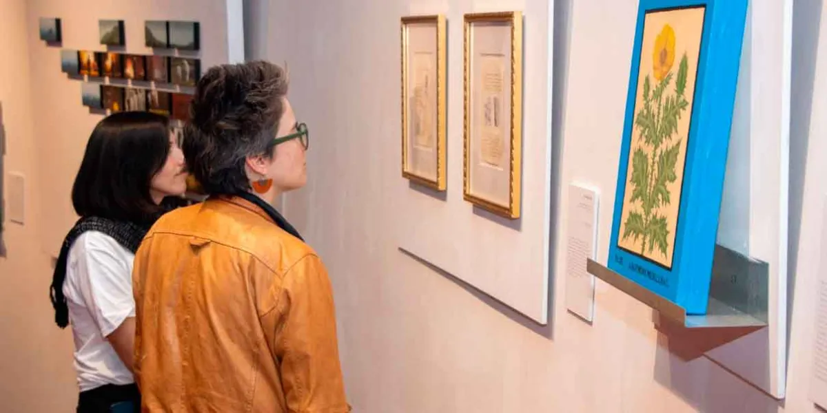 ‘15a Bienal IBERO Puebla. Arte Contemporáneo 2025’