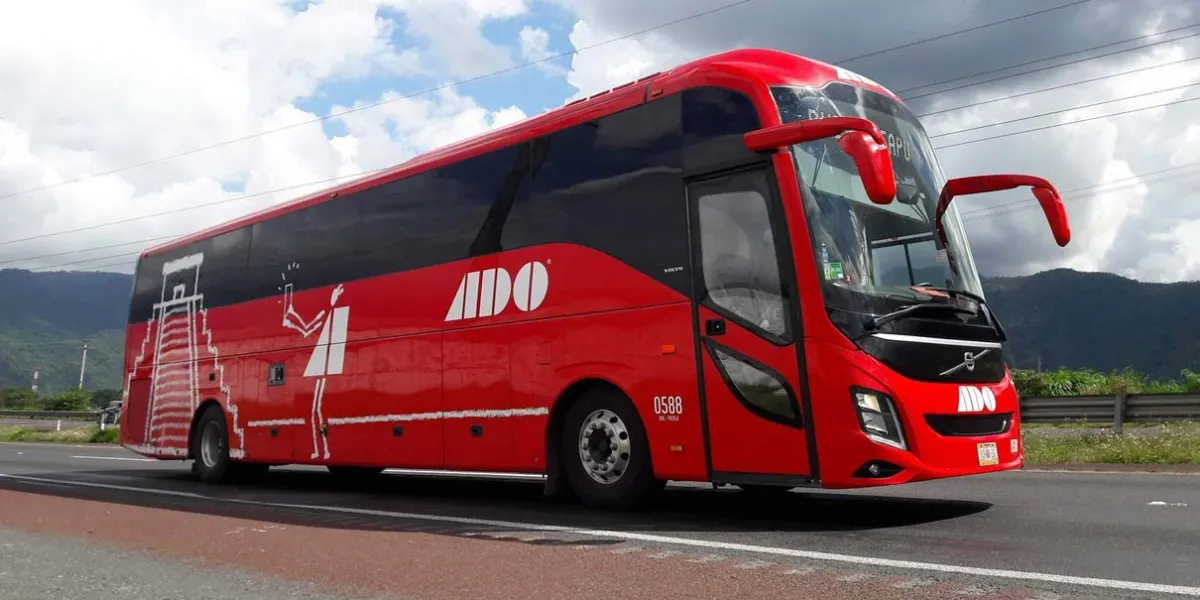 Autobuses suspendieron viajes por la Sierra Norte por daños en autopista y carretera federal