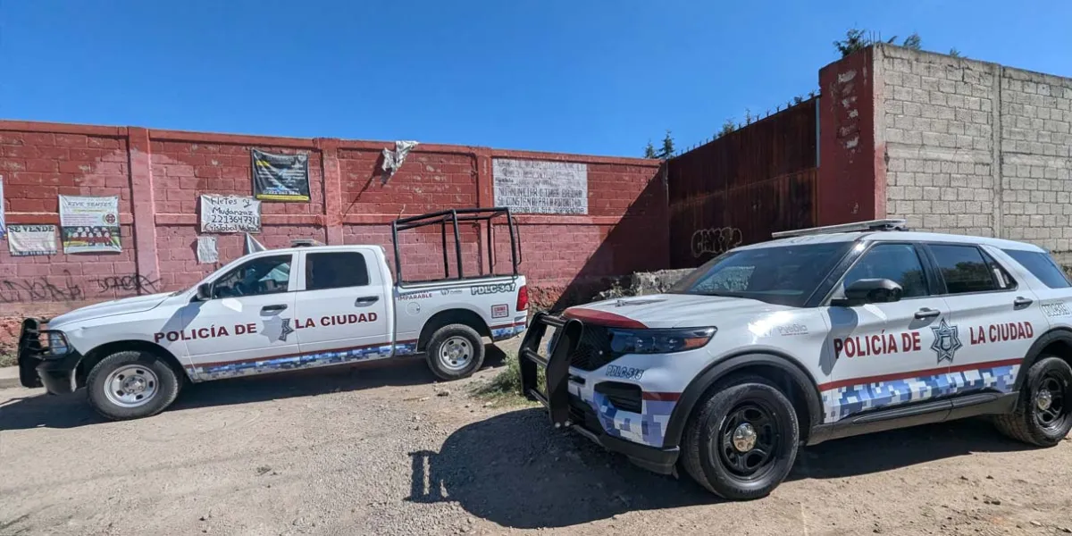 Hallan cabeza humana de una mujer en La Resurrección; jauría la devoraba