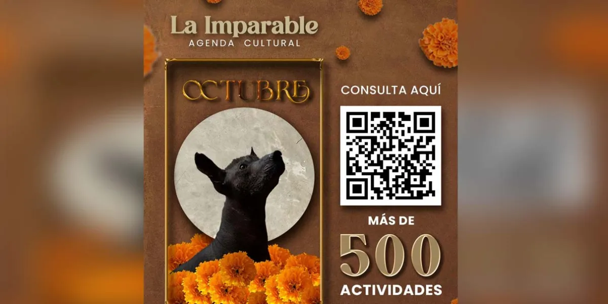 Festivales, exposiciones y cine: IMACP anuncia su agenda cultural de octubre