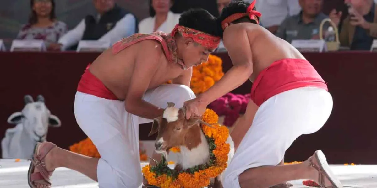 Inicia Temporada de Mole de Caderas, símbolo de identidad y patrimonio gastronómico