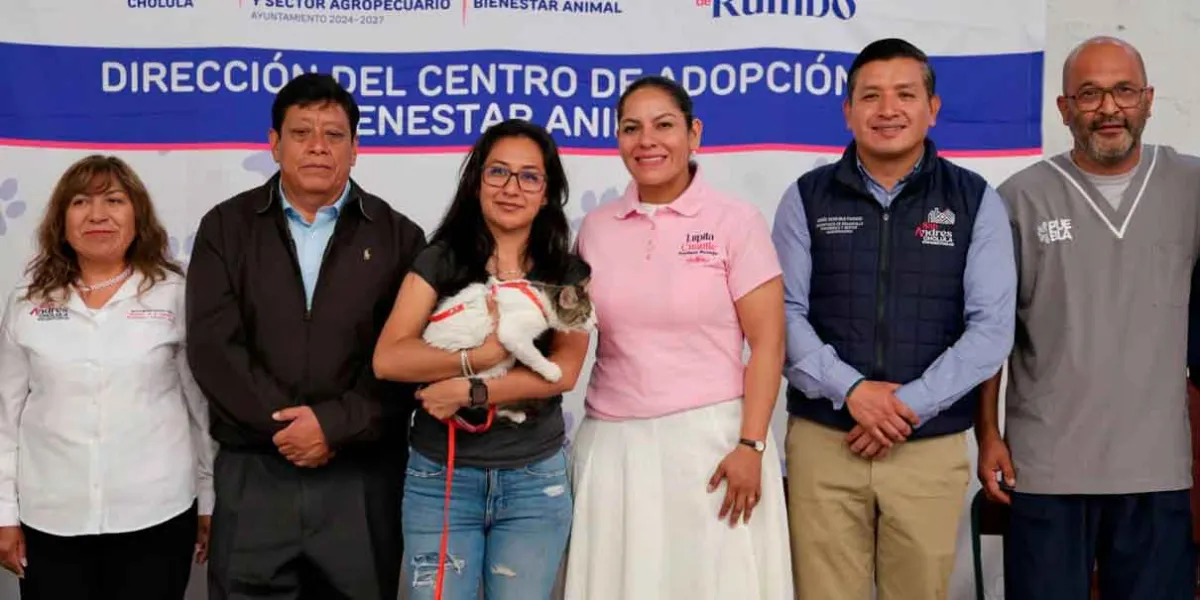 Jornada Masiva de Esterilización en San Andrés Cholula