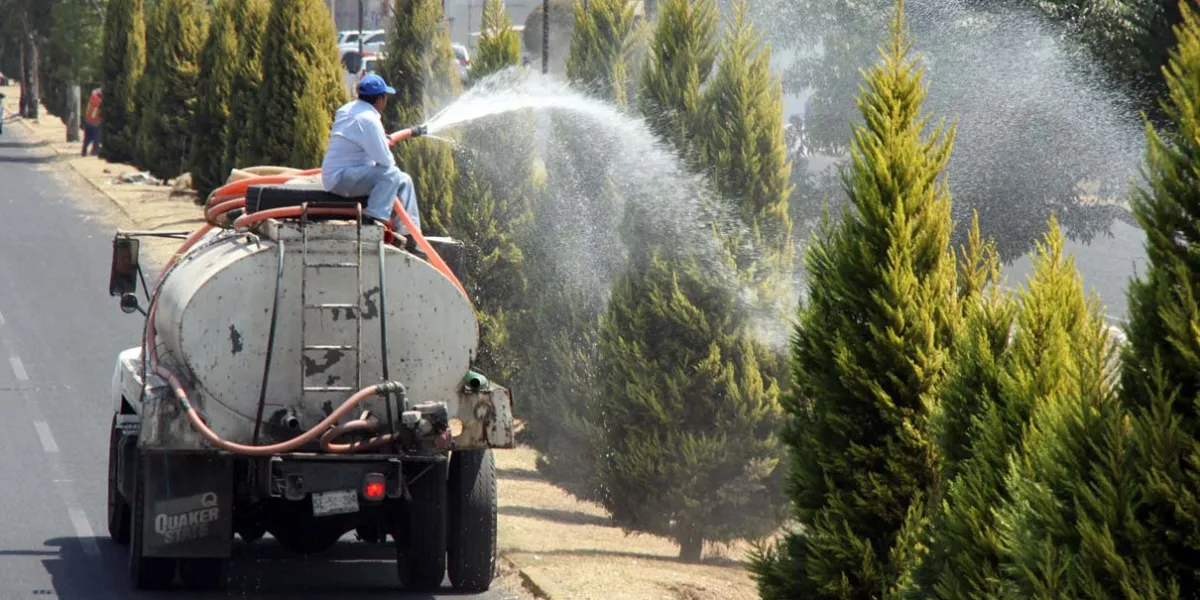 Pepe Chedraui impulsa mantenimiento y recuperación de áreas verdes en la capital