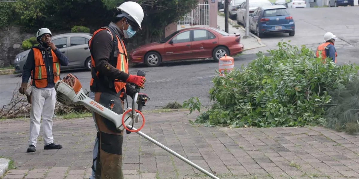 Segob Municipal registra poco avance en el programa Calle Viva