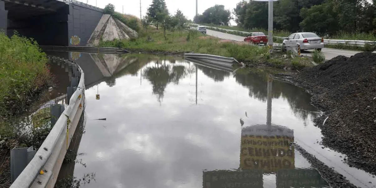 Tormentas han derribado 121 árboles y han dejado 30 zonas inundadas en la ciudad 