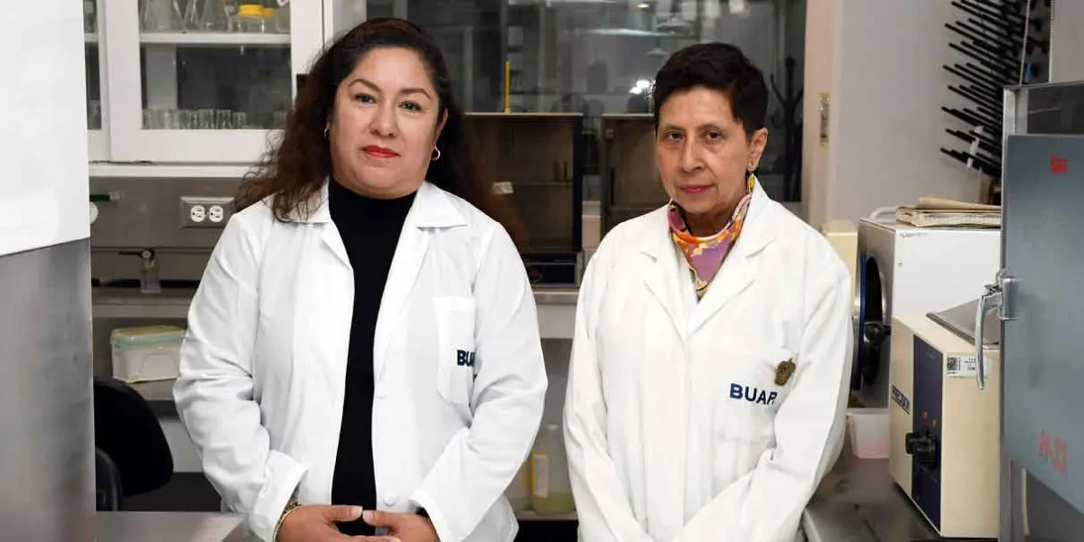 Esteroides anabólicos para tratar patologías con pérdida muscular