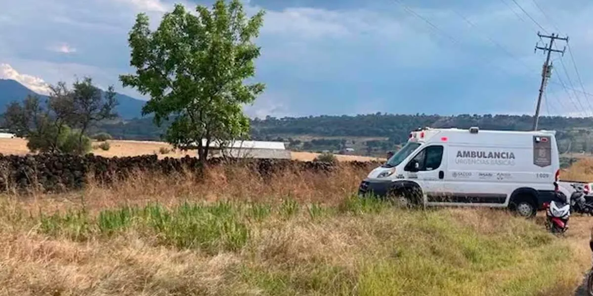 Se estrelló avioneta poblana en Michoacán; hubo cinco heridos 