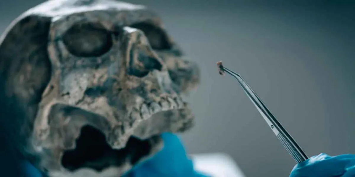 La ciencia forense, el arte de hablar por los muertos