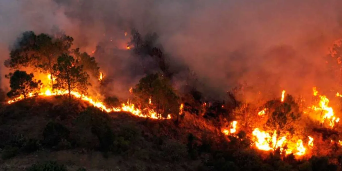 Puebla cerró temporada de incendios forestales con 304 casos