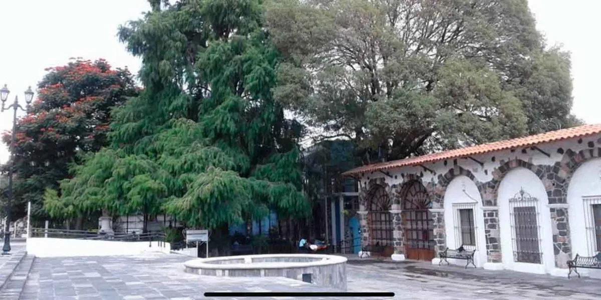 Vecinos destierran mala imagen del parque El Ahuehuete en Atlixco