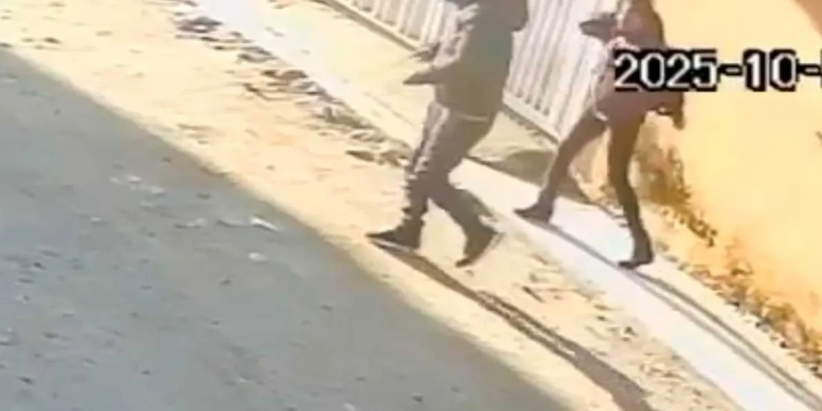 RATAS se apoderan de la colonia Carrillo Puerto, en Texmelucan; vecinos piden ayuda
