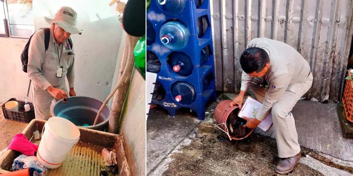 Luchan contra propagación del Dengue en Xicotepec