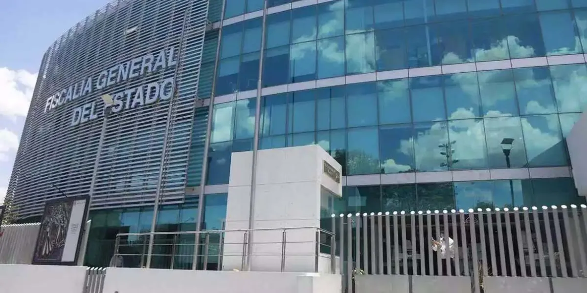 Historial de posibles candidatos ecologistas son revisados por la Fiscalía